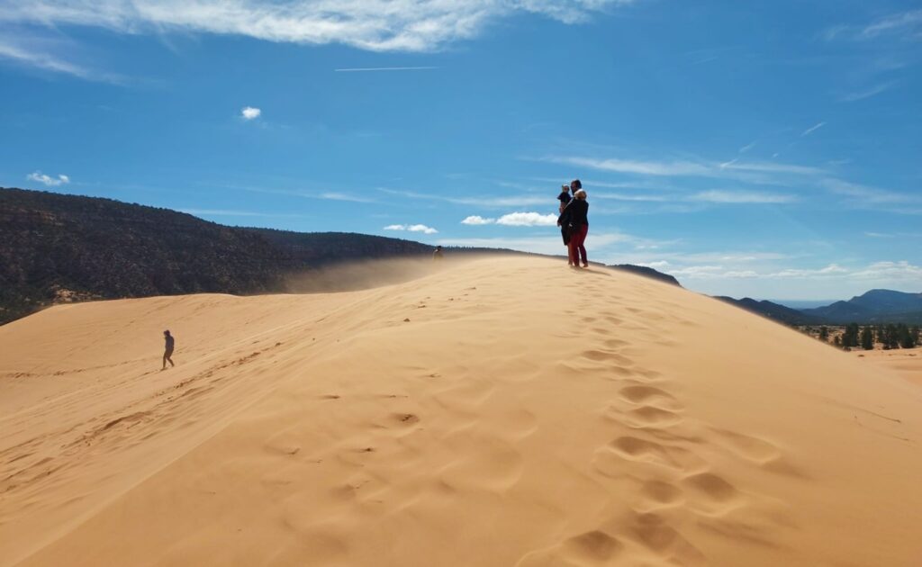 IMG-20260310-WA0017