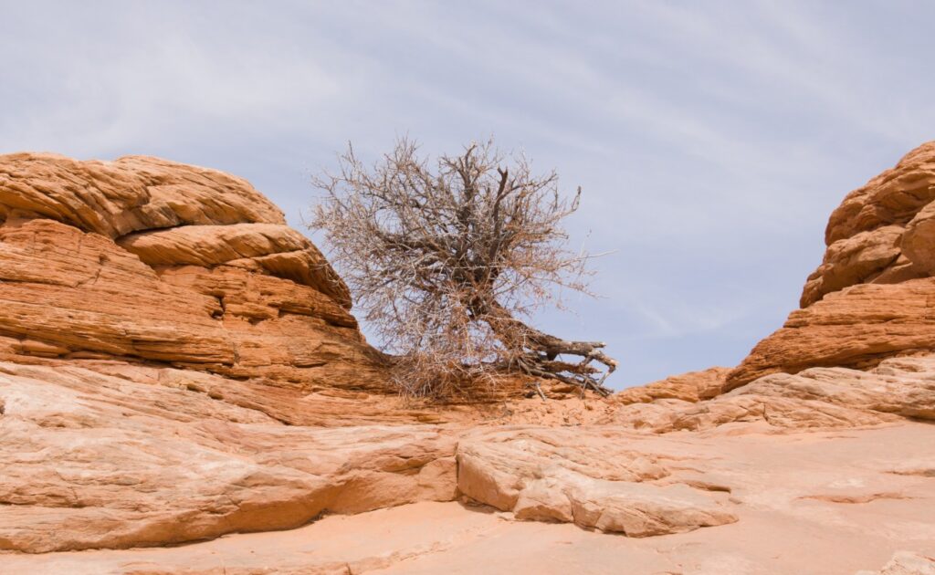 2026-03_Canyonlands_0016