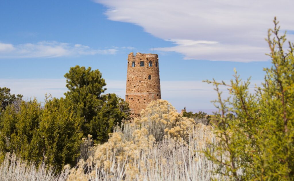 2026-03_Grand-Canyon_0032