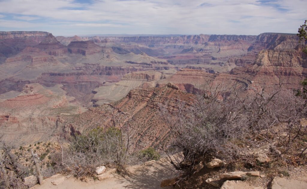 2026-03_Grand-Canyon_0046