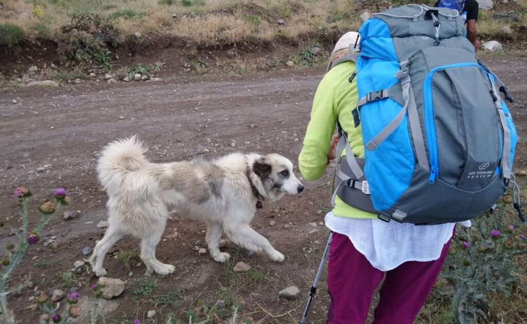 Elbus_Besteigung_2024_05