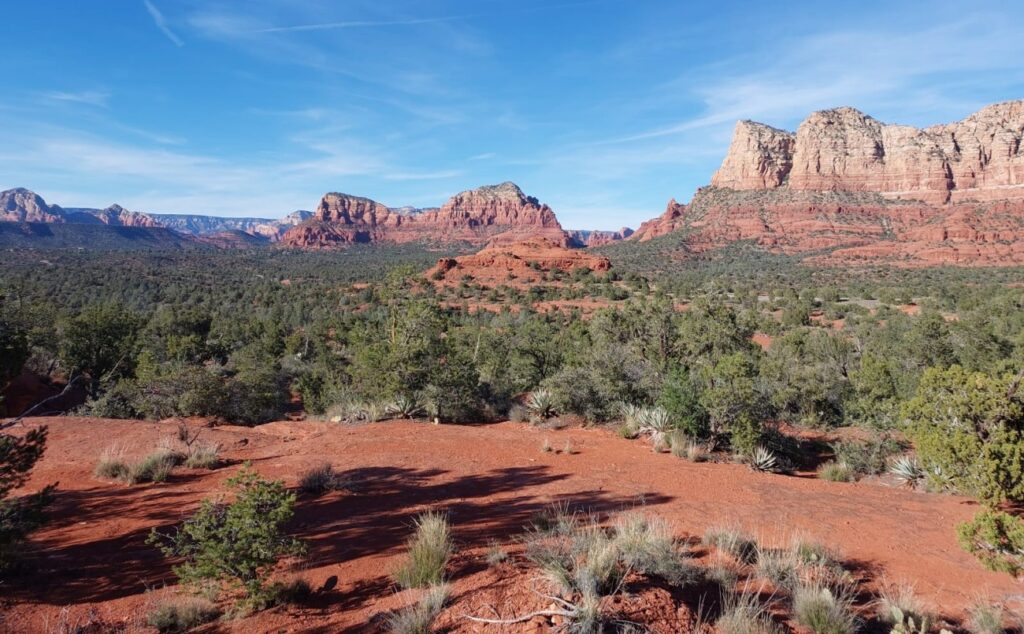 IMG-20260313-WA0021