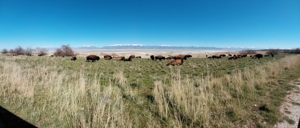 SaltLakeCity_05