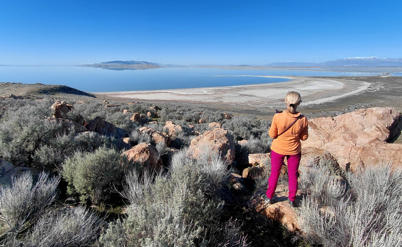 Mehr über den Artikel erfahren Salt Lake City – Antelope Island – Twin Falls