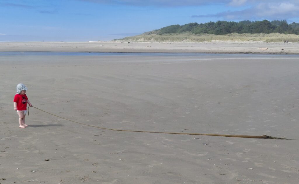 Waldport_03
