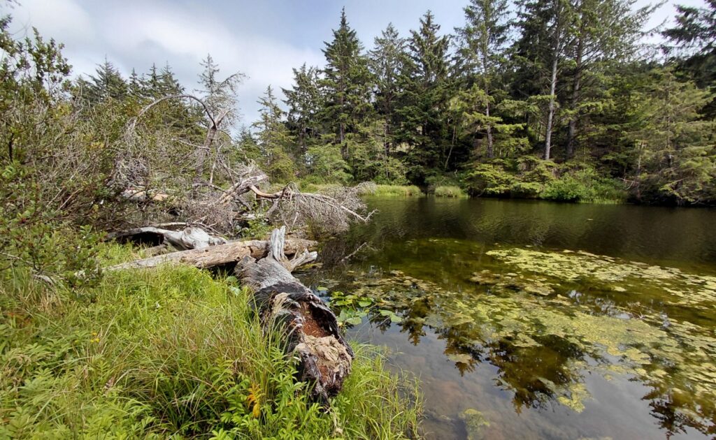 Waldport_04