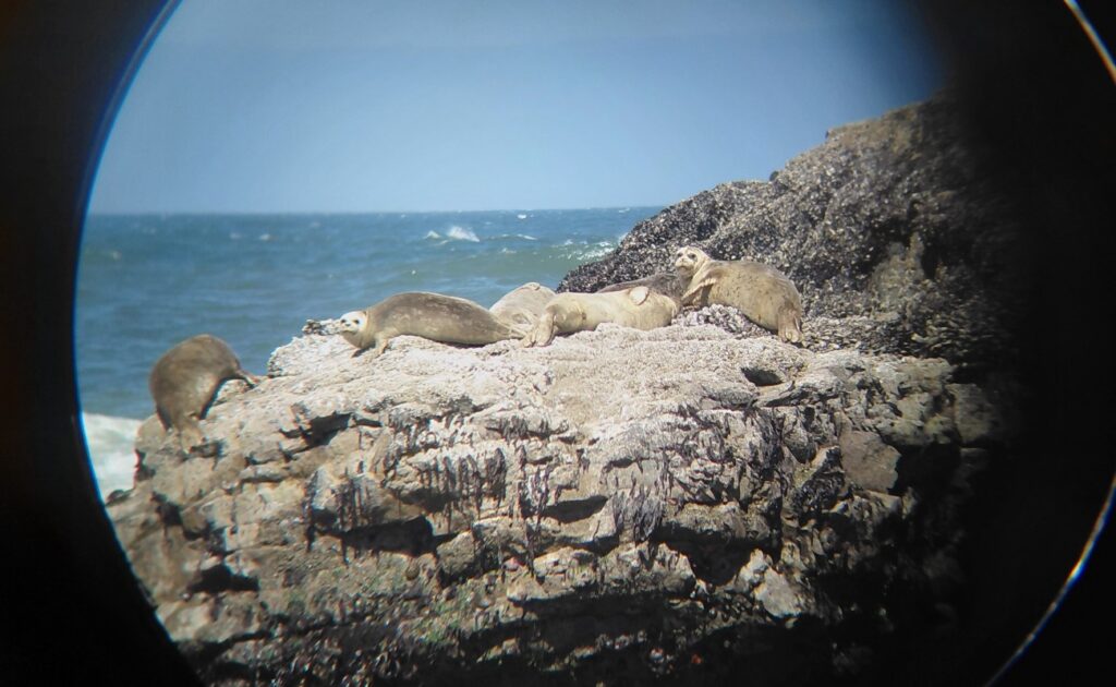 Waldport_16