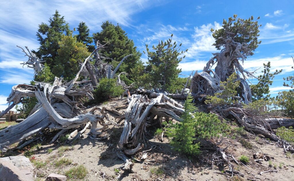 Crater_Lake_08