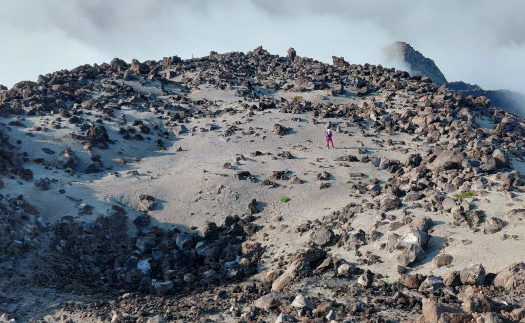 Mt_St_Helens_14