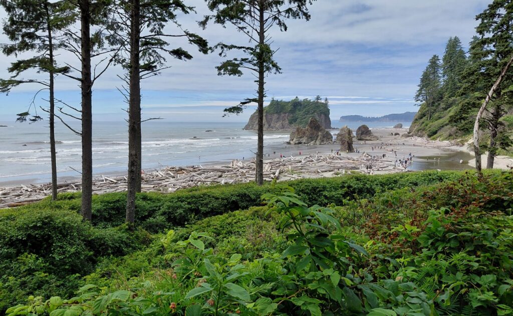 Olympic_National_Park_25