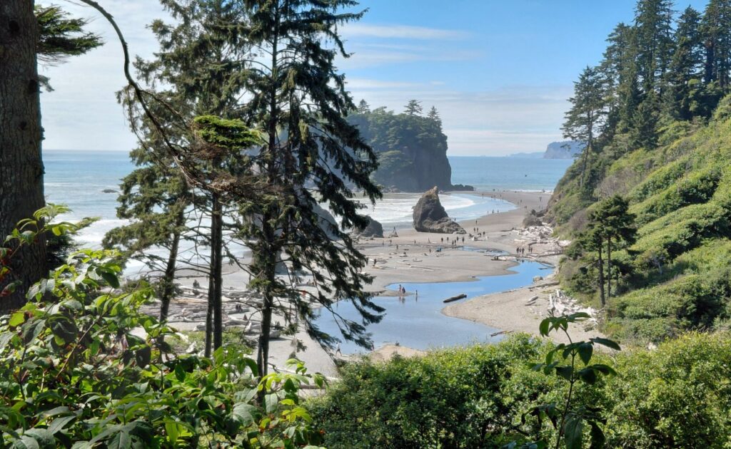 Olympic_National_Park_32
