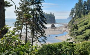 Mehr über den Artikel erfahren Olympic National Park