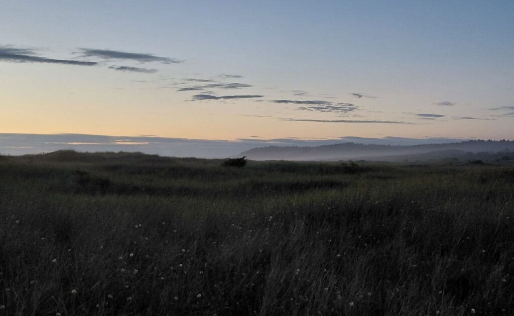 Olympic_National_Park_38