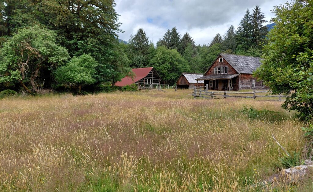 Olympic_National_Park_61
