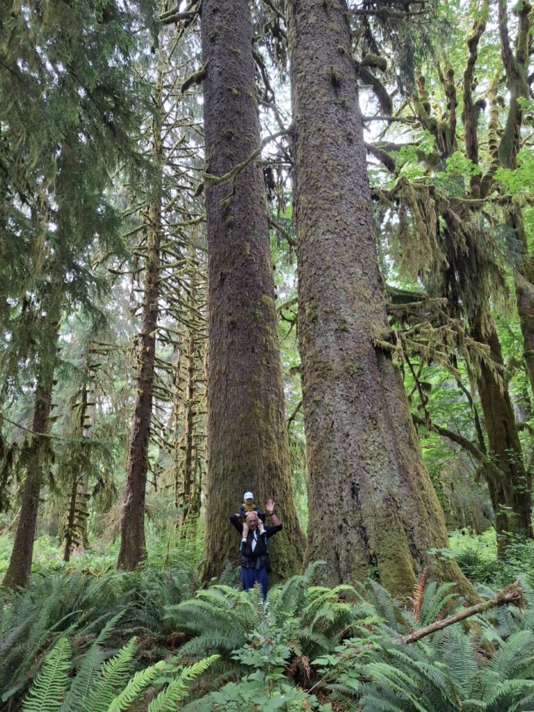 Olympic_National_Park_95