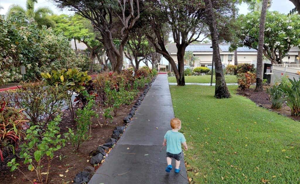 2026-09_Hawaii_0003