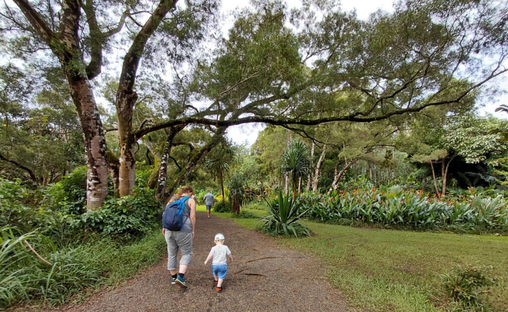 2026-09_Hawaii_0007