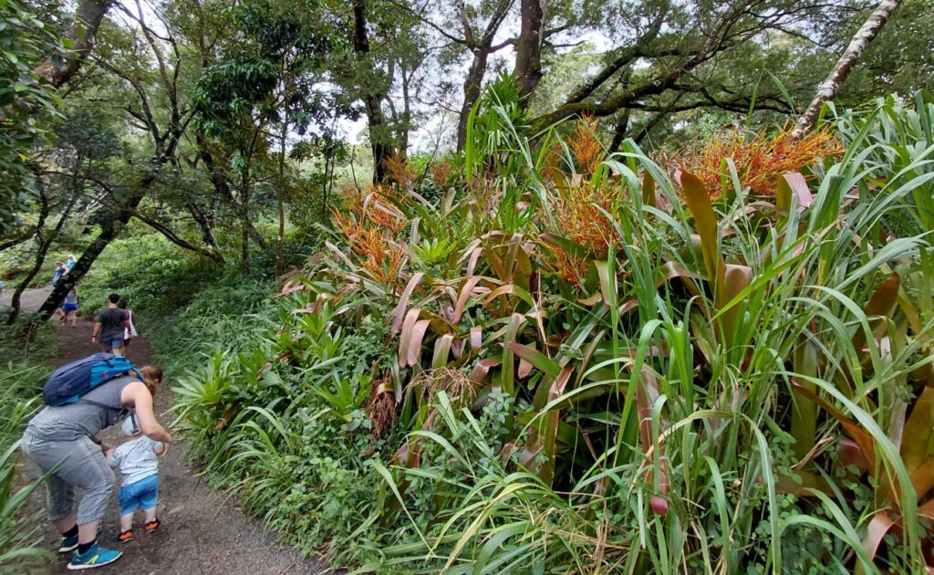 2026-09_Hawaii_0008