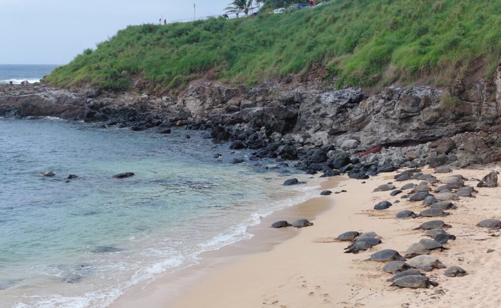 2026-09_Hawaii_0023