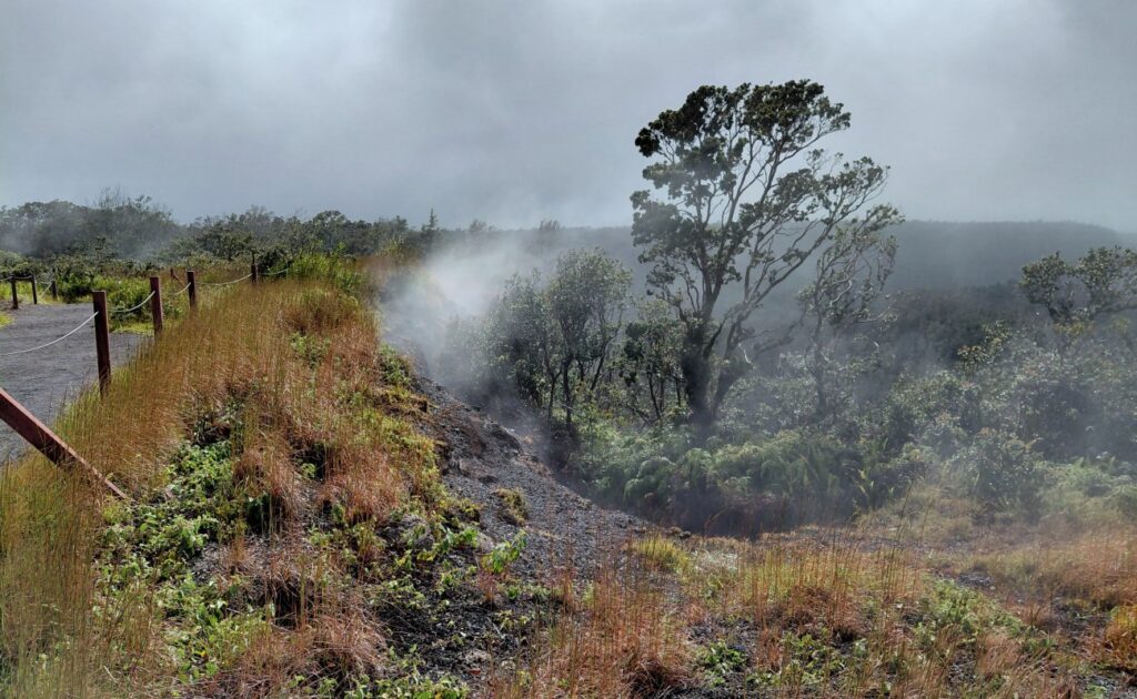 2026-09_Hawaii_0038