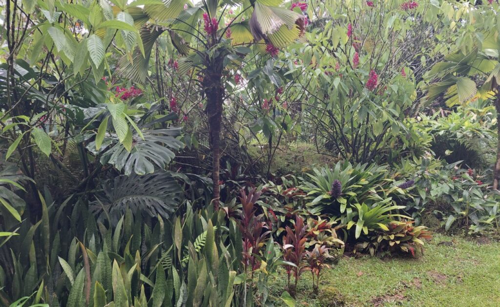 2026-09_Hawaii_0053